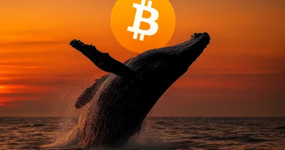 Whale Boosts Bitcoin Short on Hyperliquid, Pockets $131K in 30 Days
