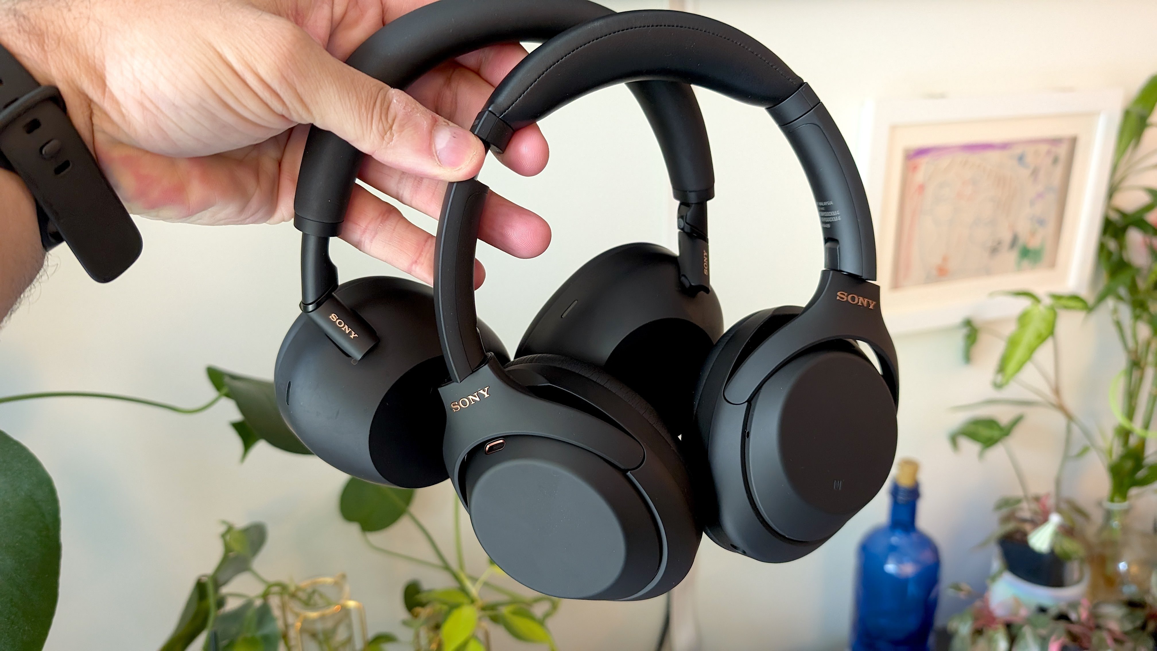 Sony and Bose Dominate a Headphone Guide That Quietly Tracks a Slowing Upgrade Cycle