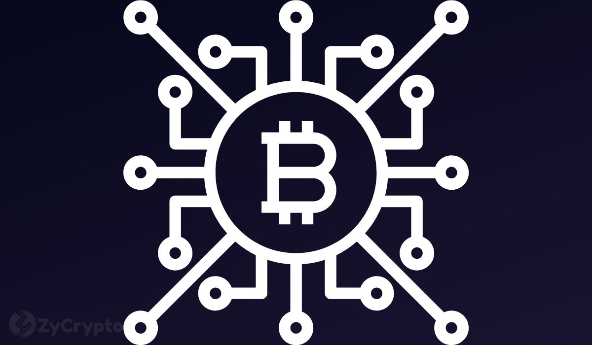 Gen Z Returns to Crypto, Pseudonymous Analyst Claims