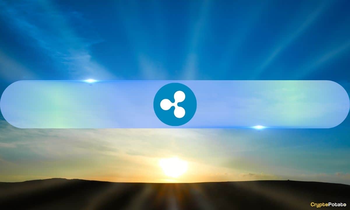 XRP Holds Top-10 Spot for 13 Consecutive Years, Outlasting Every Other Altcoin