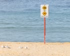Shark Attack Distraction Coincides with Crypto Accumulation as Fear Index Hits 20