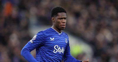Crystal Palace, Everton Discuss Swap Deal Involving McNeil and Johnson