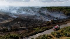 Baroness Brown Warns Lives Will Be Lost Without Better UK Wildfire Training