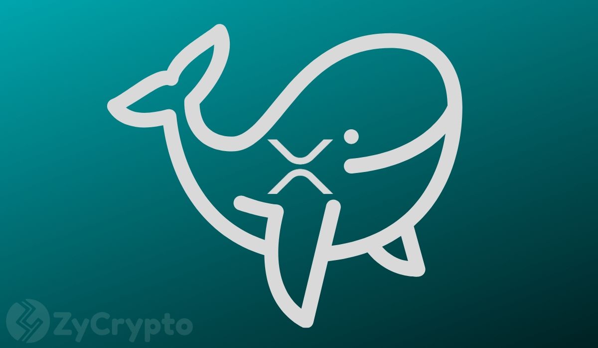 XRP Jumps 25% as Whales Snap Up 300M Tokens in Four Days