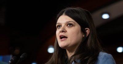 Haley Stevens Enters Michigan Senate Race, Shaking Up Democratic Primary