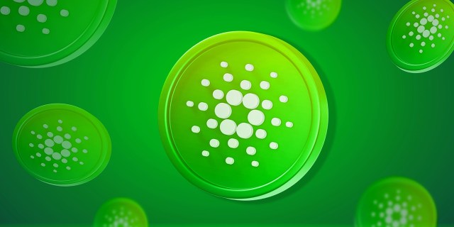 Cardano Whales Accumulate as Price Dips Below $0.25, Retail Capitulates