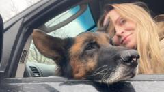 Animal Rescue Teams Risk Lives in Eastern Ukraine as Crypto Donations Flow In