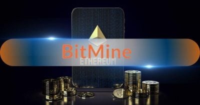 Bitmine Slashes Weekly ETH Buys to 7,430, Pivots $86M to Stock Buybacks
