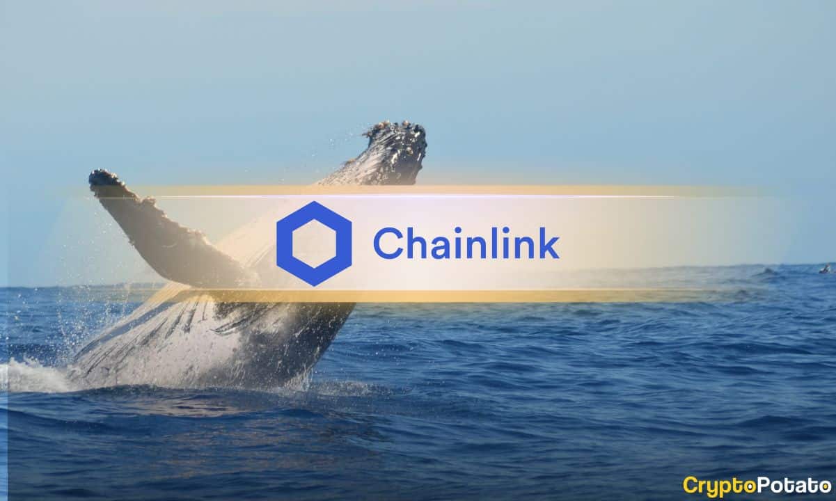 Chainlink Records Largest Daily Exchange Outflow Since June as LINK Price Holds Above $8