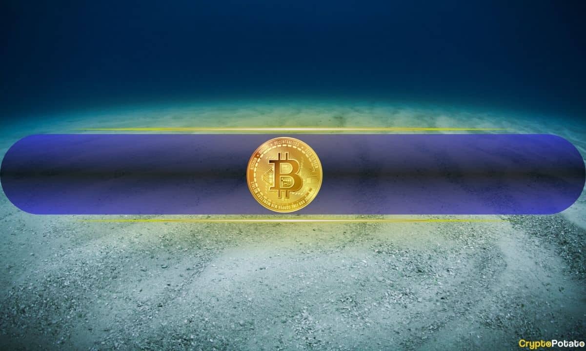 Coinbase CEO's Bitcoin Bottom Poll: 55.6% Say No, On-Chain Data Shows Consolidation