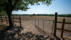 UK Drought Forecast to Intensify as Rain Stays Away; Crypto Markets Look Past It