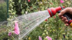 UK Hosepipe Ban Hits 8 Million Households – What It Means for Crypto Mining's Water Footprint