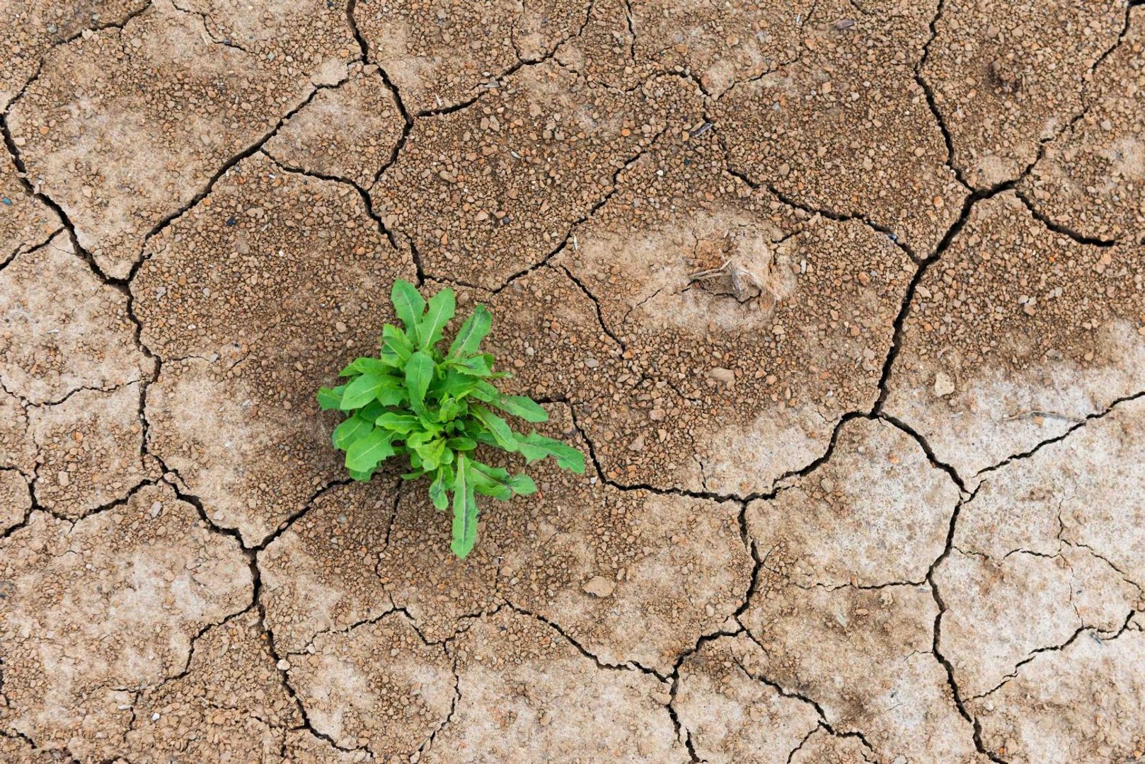 DeFi Sector Shakeout Shows Resilience Amid Governance Hurdles