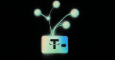 Tether's Wallet Dev Kit Crosses 100,000 Wallets, Developer Portal Now Open