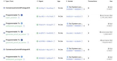 Sui Mainnet Back Online After Validator Fix, but Outage Risks Loom