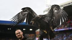 Peta Calls on Crystal Palace to Retire Bald Eagle Mascot