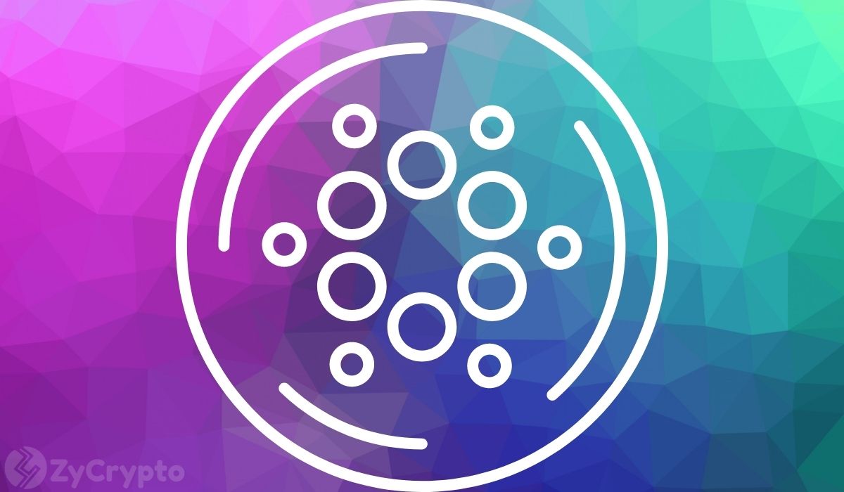 Hoskinson to Critics: 'Don't Bet Against Me' in Defiant Cardano Message