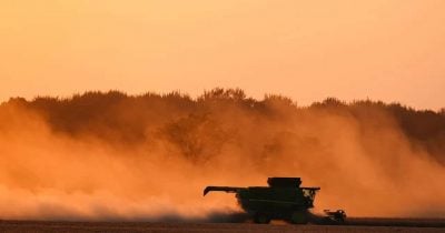 China verpflichtet sich, jährlich US-Agrarprodukte im Wert von 17 Milliarden Dollar zu kaufen