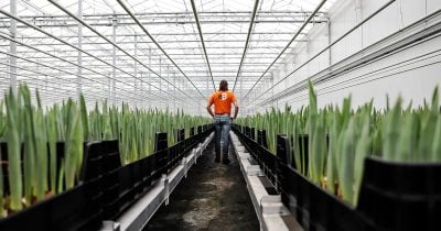 Madeira Family Farm Heats Greenhouses With Bitcoin Mining Waste Heat