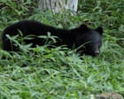 Japanese Bear Raid Fridge, Crypto Traders See Extreme Fear Signal