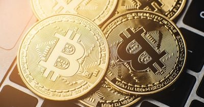Mid-Sized Bitcoin Wallets Add 19,610 BTC in Five Days