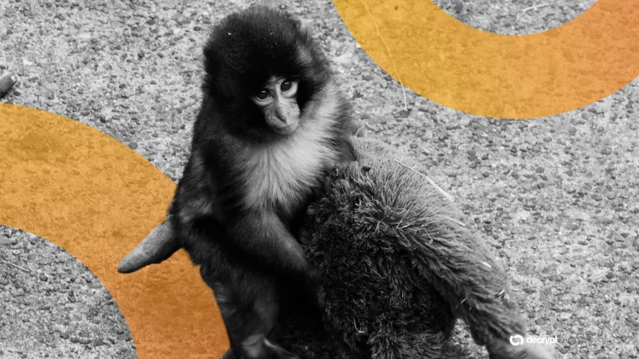 Americans Arrested in Japan for Trespassing at Zoo to Promote Solana Meme Coin