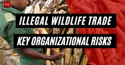 Google, Meta, PayPal, Chainalysis Team Up to Fight Wildlife Trafficking With AI and Blockchain