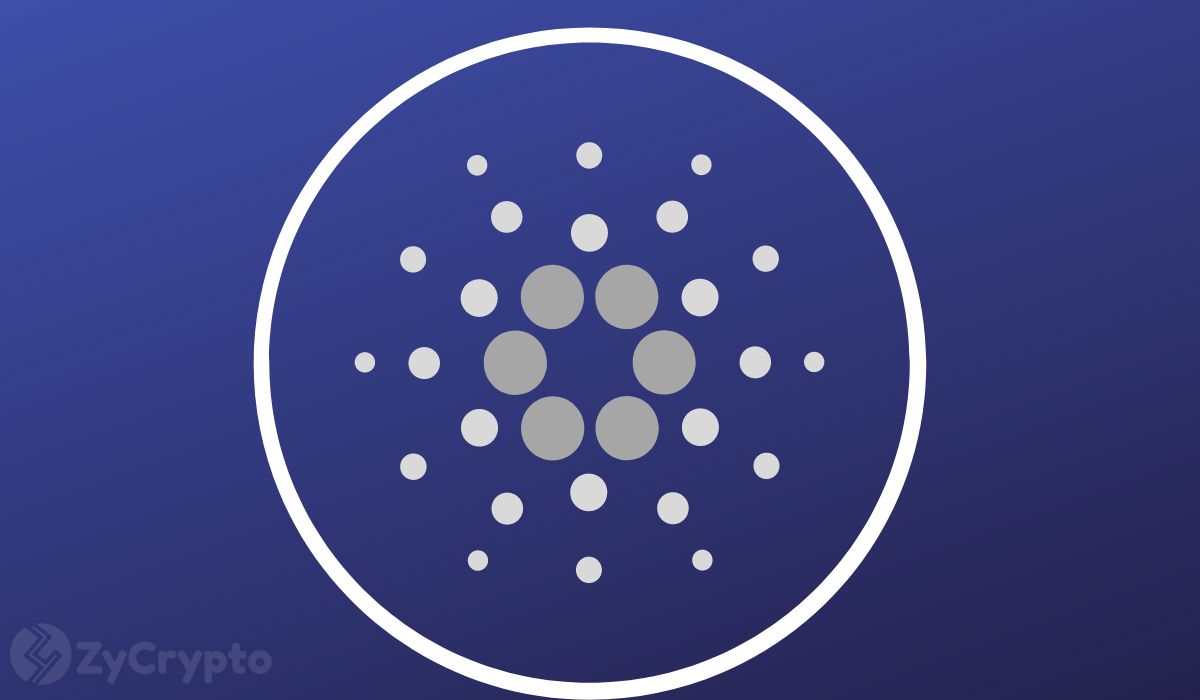 Cardano Jumps 24% as Retail Investors Stay on Sidelines
