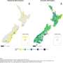 New Zealand Water Study Finds Preterm Birth Risk at Nitrate Levels Below Current Standard