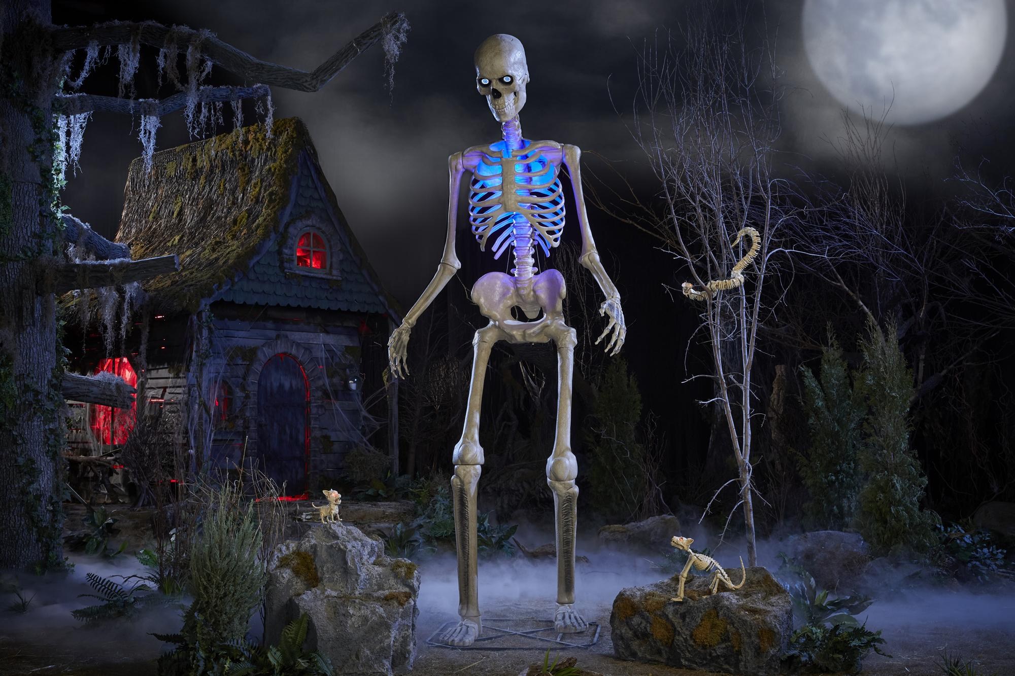 Home Depot's $379 Talking Skeleton: A Contrarian Bullish Signal for Crypto