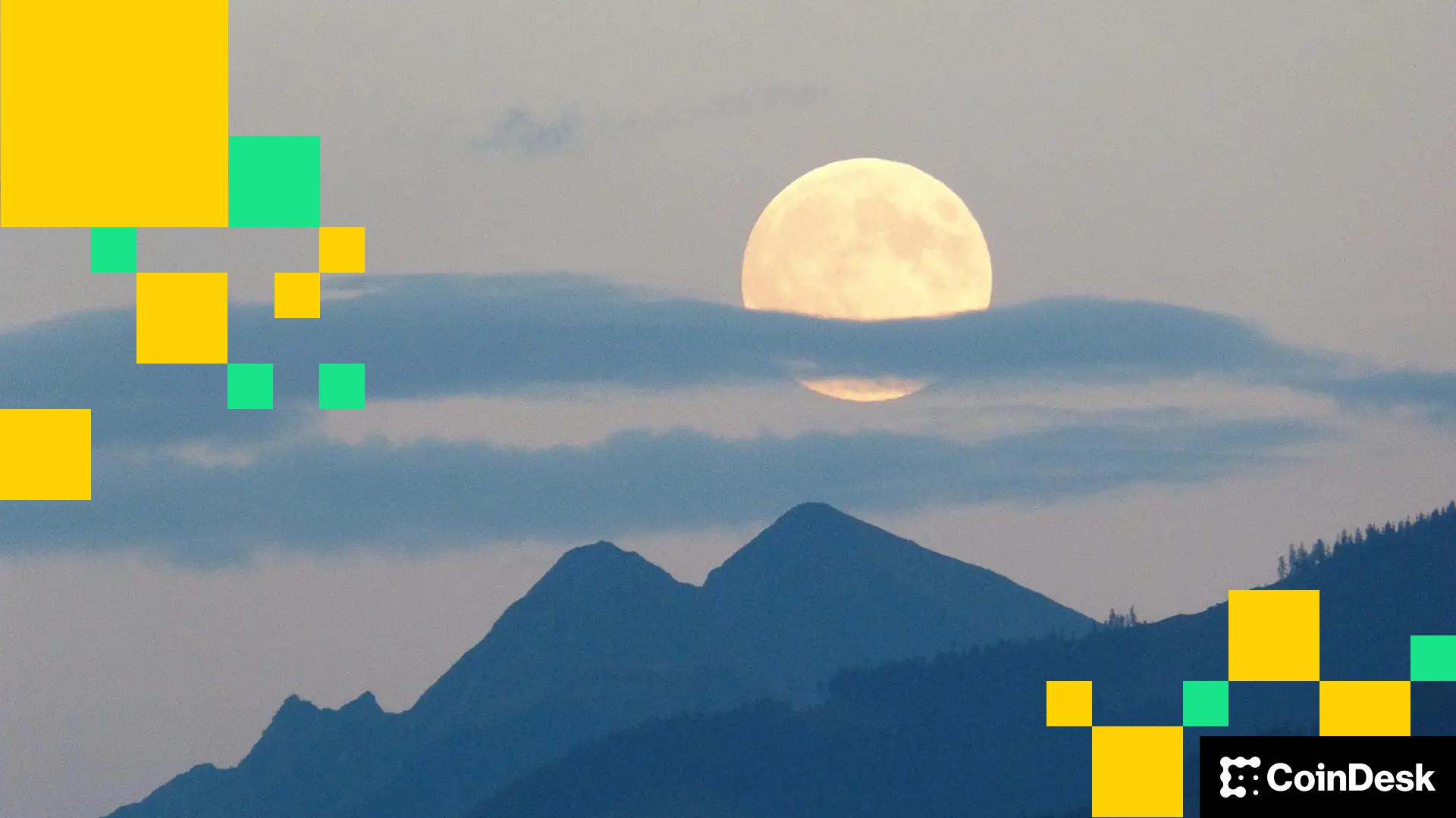 MoonPay Agents Enable AI Bots to Hold Crypto Funds