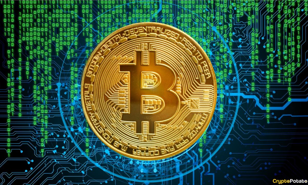 Spot Bitcoin ETFs Bleed $1.26B as Memory ETF Shatters Inflow Record in 27 Sessions