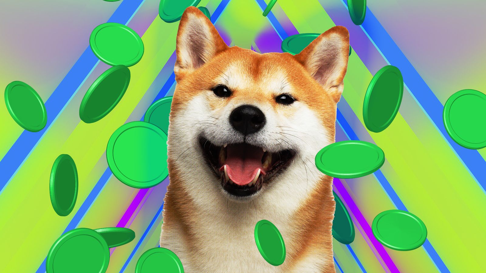 Dogecoin Foundation Backs New Labs Uniting MyDoge, DogeOS, Such App