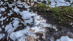 Scottish River Pollution Spurs Talk of Blockchain Monitoring for UK Crypto Mining