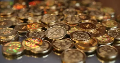 Florida IT Professional Accused of Stealing $1.9 Million in Bitcoin