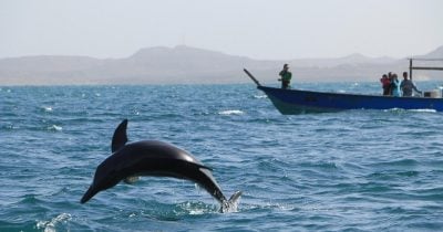 US Strikes Target Hengam Island in Strait of Hormuz, Raising Oil Supply Fears