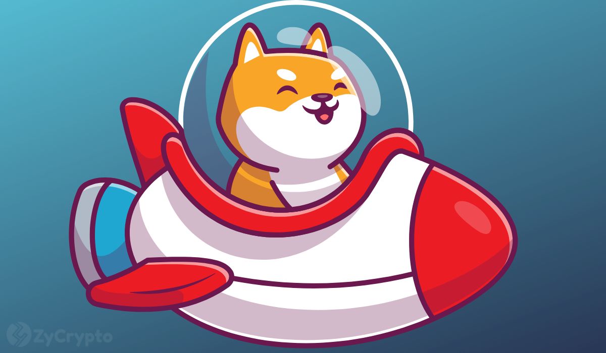 Shiba Inu Marks Sixth Anniversary as SHIB Price Rebounds, Whales Accumulate