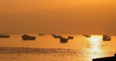 Brent Crude Drops Below $80 as Traders Bet on Strait of Hormuz Reopening