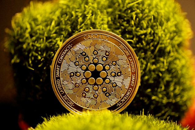 TapTools Winds Down After Leadership Exodus, Cardano Ecosystem Reels