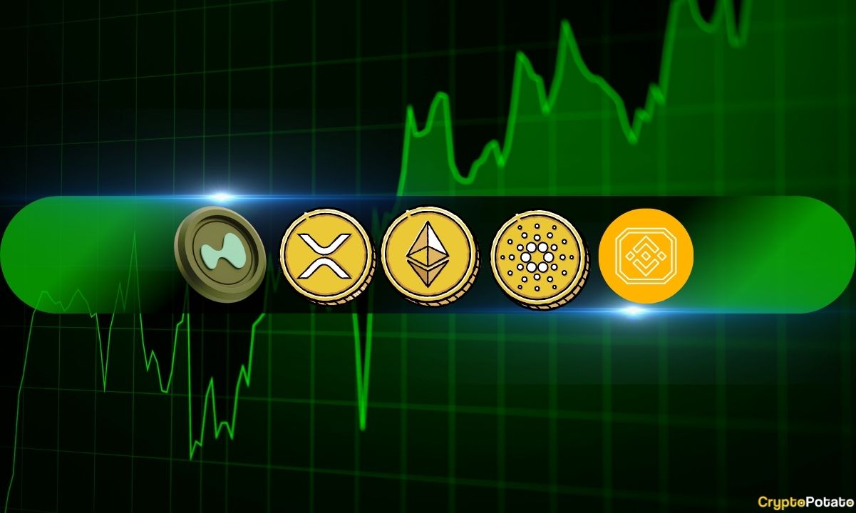 ETH, XRP, ADA Post Weekly Gains as BNB, HYPE Stall
