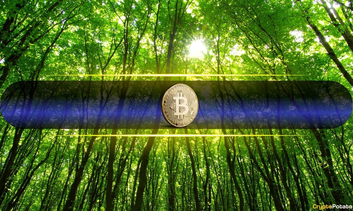 Peace Deal With Iran Sparks Crypto Rally as Bitcoin Hits Near $65K