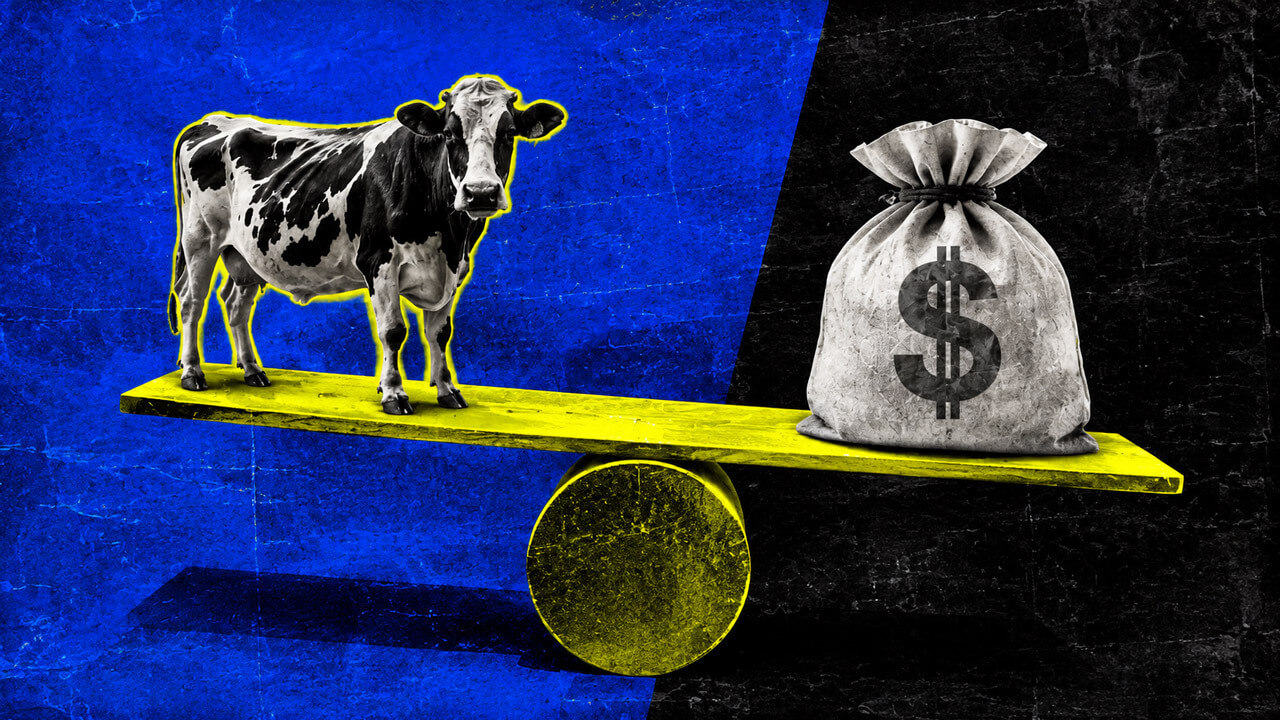 Brazil Tokenizes Dairy Cows as Collateral, Highlighting $5.7 Trillion Small Business Credit Gap