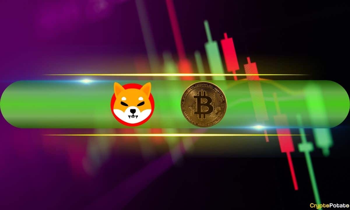 Bitcoin Holds $64K as SHIB Leads Meme Coin Rally, Altcoins See Green