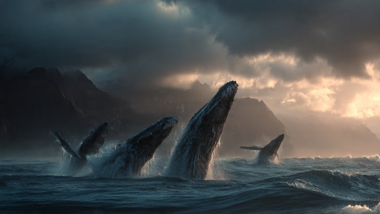 XRP ETFs Log $11.28M Inflows as Whale Outflows Hit 90% Across Exchanges
