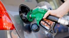 US Halts Attacks on Iran, Oil Prices Dive as Diplomatic Talks Begin