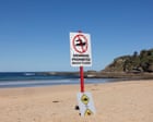 Juvenile Humpback Whale Dies After Swimming 11km Up Australia's Clarence River