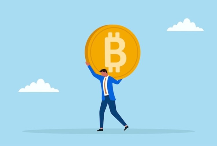 Bitcoin Long-Term Holders Hit Record 15.8M as Price Slides 9% From May Peak