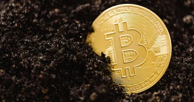 Bitcoin ETFs bleed $4.4B in record 13-day outflow streak