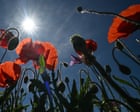 Sahara Heatwave Hits Europe, But Crypto’s Real Story Is the Fear That Won’t Quit