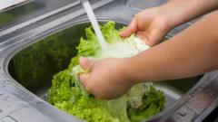 US Parasitic Outbreak Deaths Draw a Shrug from Crypto Markets